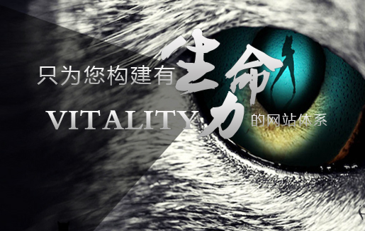 集團網(wǎng)站建設(shè)案例